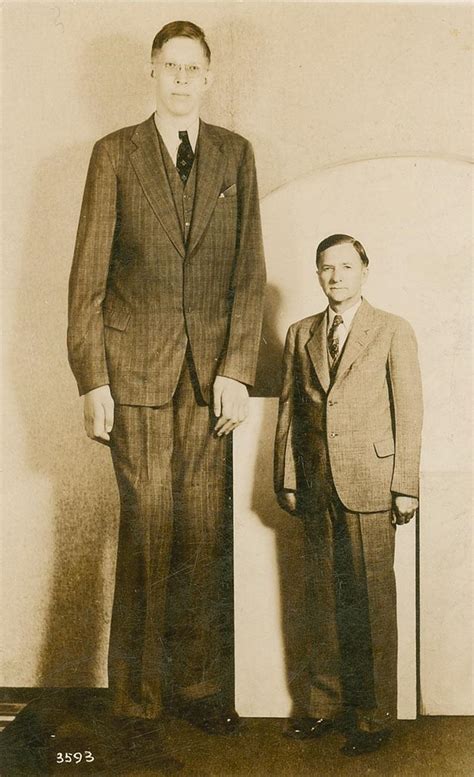 robert widow|Robert Wadlow .